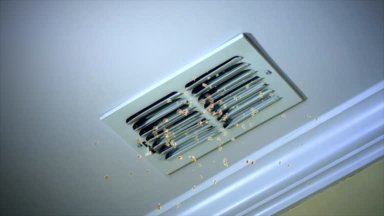 Best Air Duct Cleaning Near Me in Town And Country, WA