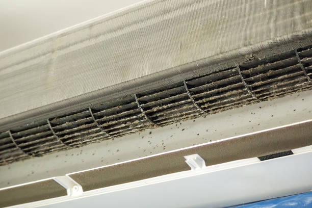 Best HVAC Air Duct Cleaning  in Town And Country, WA